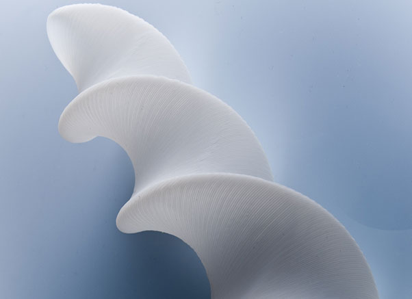 silicone